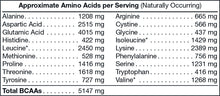 Load image into Gallery viewer, CORE PERFORMANCE FUEL - Advanced Premium Protein Blend Chocolate Gainz – 70 servings
