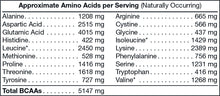 Load image into Gallery viewer, CORE PERFORMANCE FUEL - Advanced Premium Protein Vanilla Gainz – 70 servings

