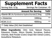 Load image into Gallery viewer, FLEX FUEL - BCAA Shock - Big Melons 45 Servings
